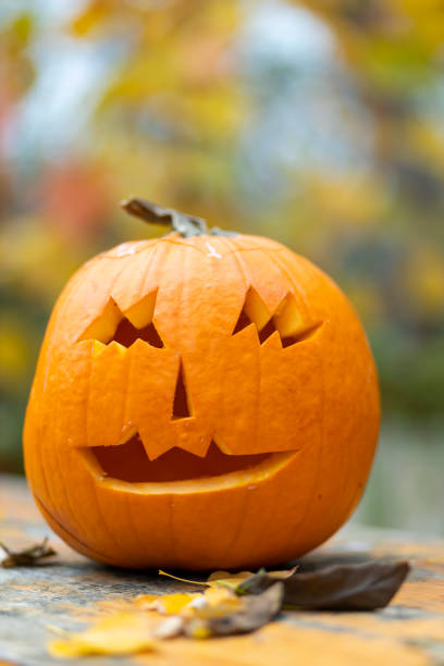istock halloween pumpkin, autumn still life 1498063536