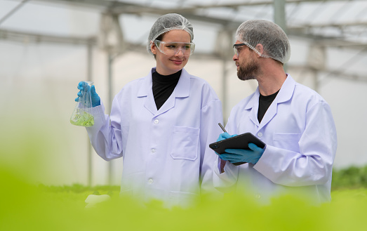 Scientists are conducting research and development on the cultivation of organic vegetables in a closed farm.