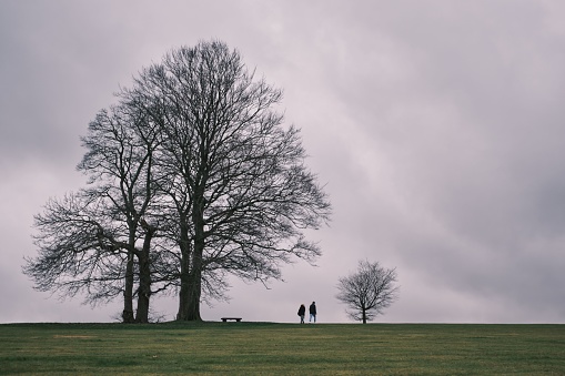 The two people stand in a grassy field under the shade of trees on a cloudy day.