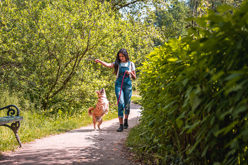 Witness the pure joy of an Indian female and her dog as they soak in the beauty of nature during a leisurely walk in a public park. This captivating stock photo encapsulates their blissful connection and the simple pleasures found in embracing the outdoors together.