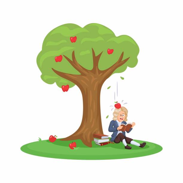 아이작 뉴턴은 나무 아래에 앉아 사과에 맞았습니다. 중력 이론 발견자 만화 일러스트레이션 벡터 - sir isaac newton stock illustrations