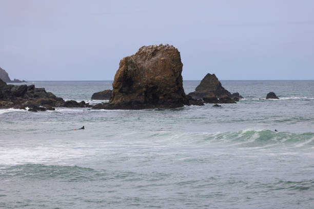 istock Northern California beach, on a cloudy morning. 1498078372