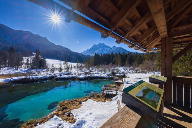 istock winter landscape in Zelenci, Slovenia 1498079936