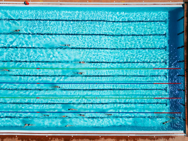istock Professional swimmers in a Swimming Pool 1498080282