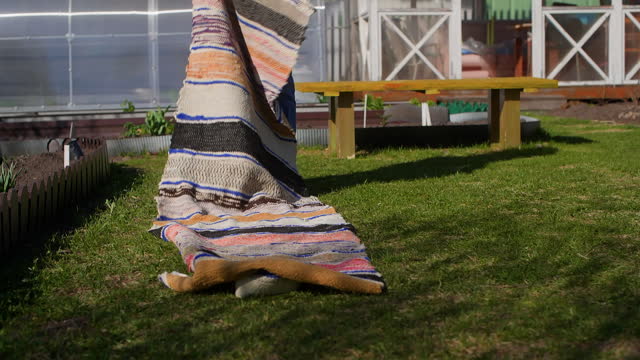 Woman spreading cloth mat rug on lawn in garden on dacha to rest on weekend.