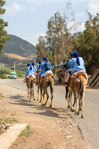 Tourists on Dromedary Camel in Ourika Valley at Atlas Mountains, Morocco