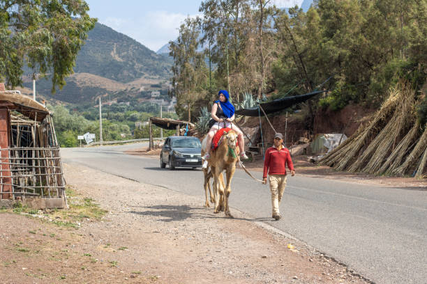 モロッコ、アトラス山脈のオウリカ渓谷のヒトコブラクダ - two humped camel ストックフォトと画像