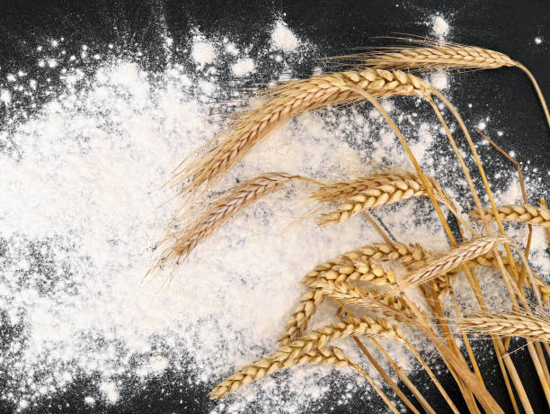 istock top view on flour and ears of wheat on black background with copy space 1498084413