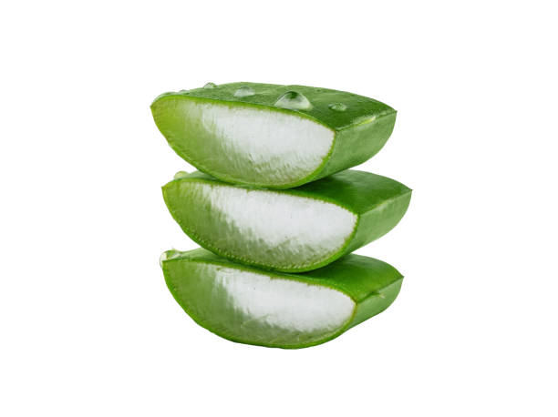 istock Fresh Aloe vera slice with aloe vera gel drops isolated on white background. 1498085520
