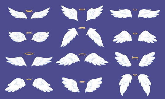 Cartoon angel flat wings. Wing angels and sparkle nimbus. Cute shining holy heaven elements. Simple fly bird symbols, snugly vector graphic of angel feather and halo illustration