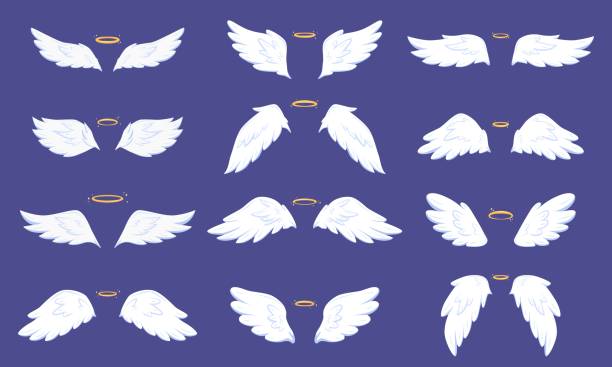 Cartoon angel flat wings. Wing angels and sparkle nimbus. Cute shining holy heaven elements. Simple fly bird symbols, snugly vector graphic vector art illustration