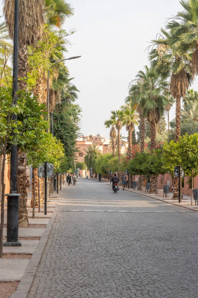 Rue Yves St Laurent in Marrakesh at Marrakesh-Safi, Morocco People in the distance on the Rue Yves St Laurent in Marrakesh at Marrakesh-Safi, Morocco, outside the Majorelle Gardens. marrakesh safi photos stock pictures, royalty-free photos & images