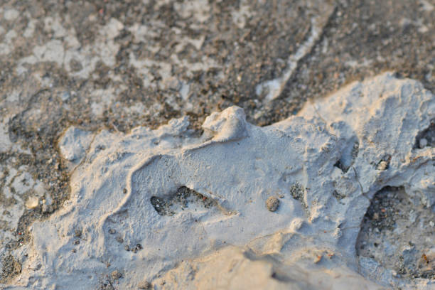 istock Old grunge cracked wall textured background, Cement wall background exterior. 1498090488