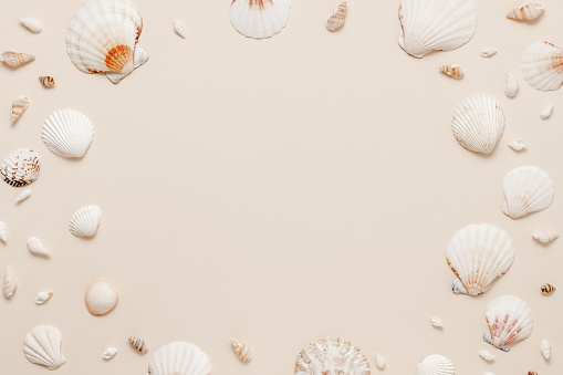 Round frame made from seashells on neutral beige background. Seashell summer aesthetic backdrop with copy space for design and product presentation