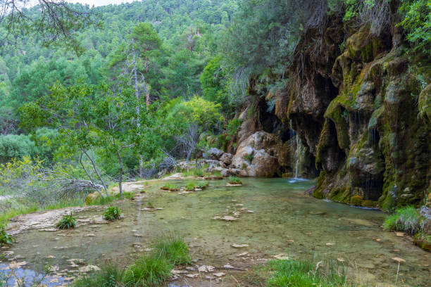 istock The spring of river Cuervo (Nacimiento del Rio Cuervo) in Cuenca, Castilla La Mancha, Spain 1498092794