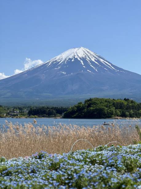 istock Awe-inspiring Fujiyama mountain peak illuminated by the sun's rays in Japan 1498096606