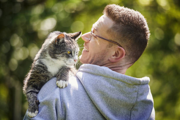 istock Man carrying his old tabby cat on shoulder 1498099013