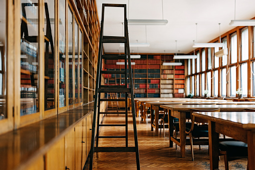 A photo captures the ladder in the university library, revealing shelves stocked with books in abundance. The library, constructed using wood, encompasses a central space furnished with chairs and tables, accompanied by bookshelves positioned on either side.