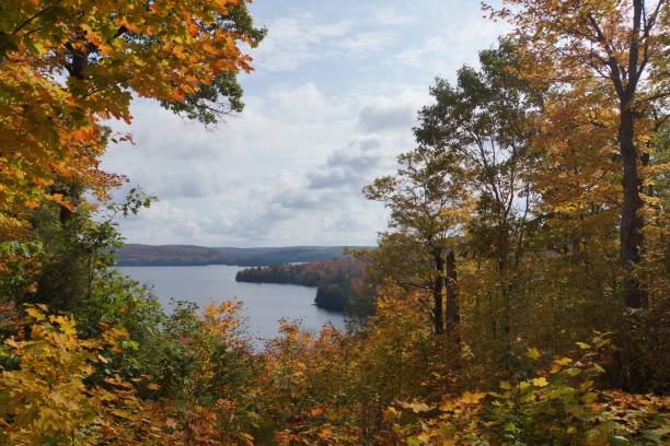 istock Tranquil lake surrounded by trees and shrouded in a cloud-filled sky. 1498102960
