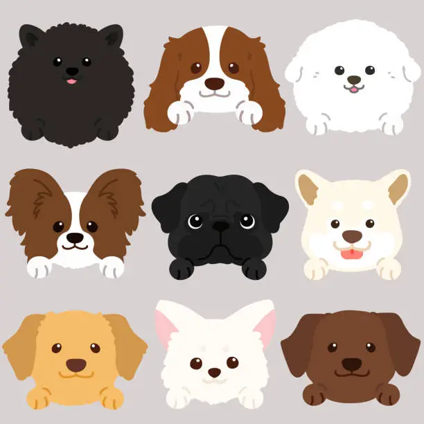 Vector illustration of Set of adorable dogs' faces flat colored with front paws