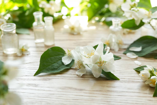 istock Beautiful light background with jasmine flowers. Place for a subject. Selective focus. Spa. 1498105481