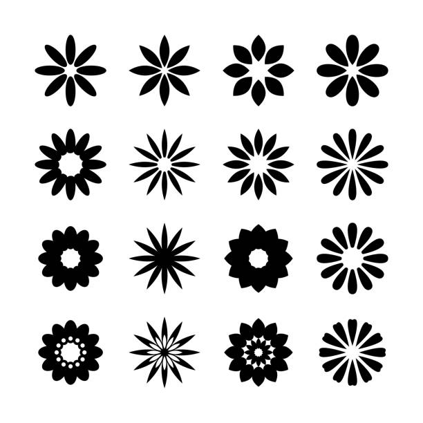 illustrazioni stock, clip art, cartoni animati e icone di tendenza di set di icone fiore - single flower chrysanthemum design plant