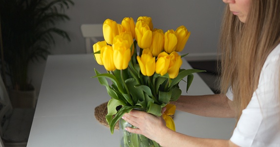 Woman with long brown hair put vase with yellow tulip on dining table. Lady in white t-shirt decorates home table with beautiful bunch of dutch flowers. High quality photo
