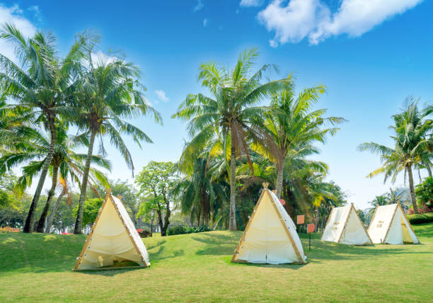 Lawn and tents by the sea stock photo