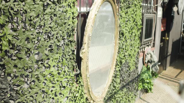 Dirty tarnished mirror wrapped in a gold frame sits on a building wall surrounded by green ivy