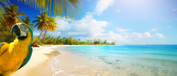 Art summer holiday on tropical sea sandy beach; banner design with copy space