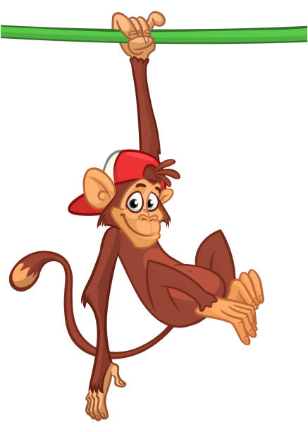 Cartoon monkey chimpanzee handing upside down on the tree branch or liana. Vector illustration of happy monkey character Cartoon monkey chimpanzee handing upside down on the tree branch or liana. Vector illustration of happy monkey character. clip art of a monkey holding banana stock illustrations