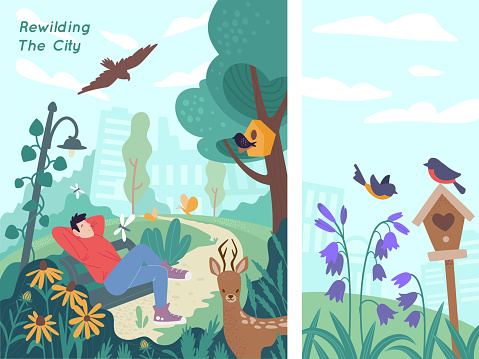 A man sitting on a bench in the park and relaxing with birds singing. Re-wilding the city. Restoration of natural habitats and wildlife concept. Promoting biodiversity vector illustration. Ecosystems
