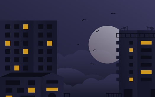 Night city buildings. Cartoon cityscape modern architecture full moon birds, minimal geometric landscape. Vector illustration.