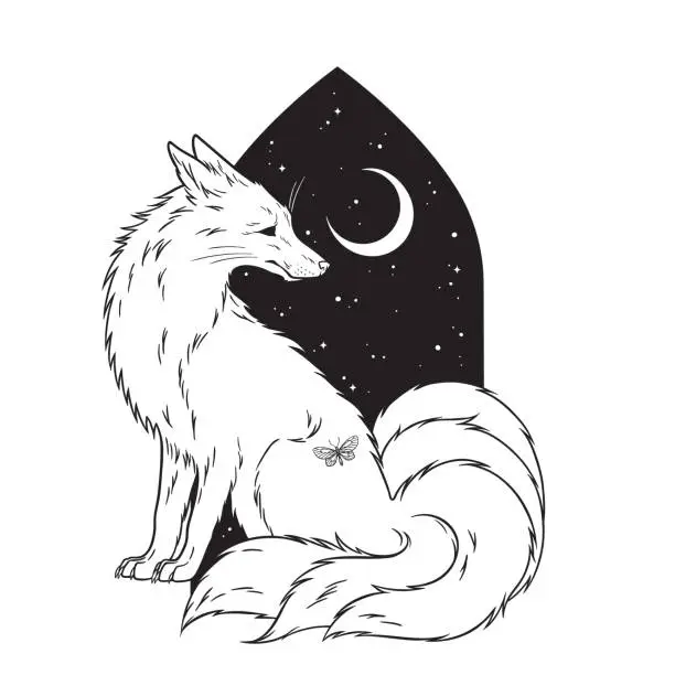 Vector illustration of Kitsune fox with five tails folklore magic animal over night sky with crescent moon hand drawn line art gothic tattoo design isolated vector illustration