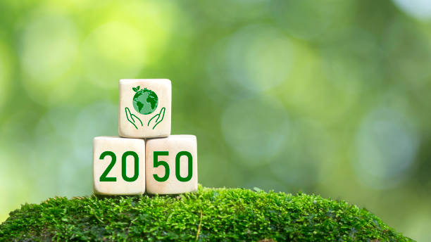 istock net zero neutral carbon Net zero emission target, zero 2050 icon on green background wooden block. 1498120476