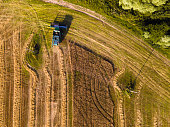 Harvesting wheat in a field at sunset. Aerial view directly above