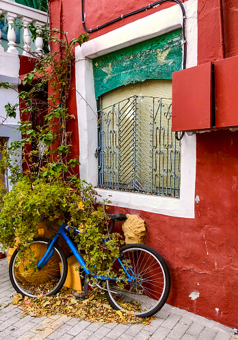 Bicycle with green foliage wall and red house in background