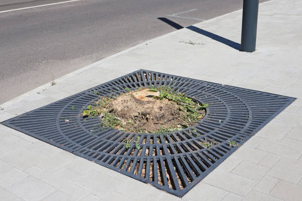 istock Empty place of a cut-out tree on the street 1498123591