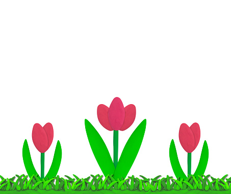 3d tulip flowers in soil. 3d render illustration isolated on white background with spring season theme.