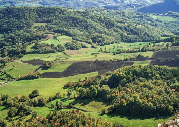Photo of The lands mainly cultivated with fodder in the Parmesan production area.