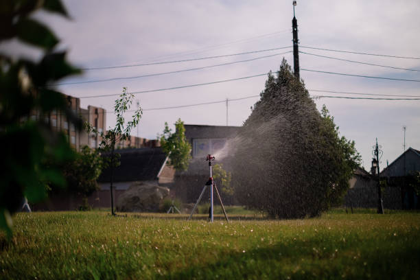 istock Lawn sprinkler spaying water over green grass. Irrigation system 1498129828