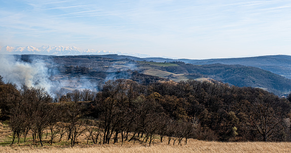 Burning dry vegetation on hills, Sibiu, Romania