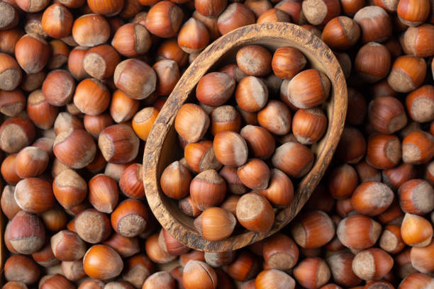 istock Hazelnuts as background.  Nuts in shell in wooden bowl. Top view. 1498134006