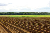 a plowed field. Creating a furrow in an arable field, preparing for planting crops in the spring