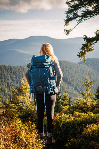 istock Woman with backpack hiking in mountain forest 1498140193