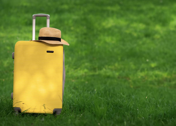 緑の芝生の上に座っている黄色いスーツケース、牧草地の自然の背景にあるスーツケース、休暇に行く、週末に行く、海での休暇