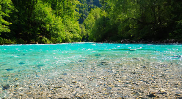istock beautiful landscape with a blue lake 1498141564
