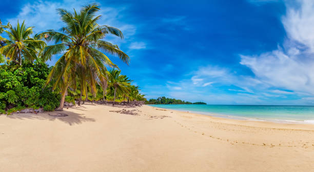 istock beautiful fantastic beach on a sunny day 1498143608