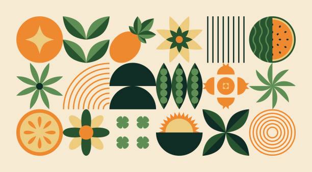 geometryczny naturalny wzór. abstrakcyjny liść rośliny owocowej o prostym kształcie, minimalistyczna koncepcja rolnictwa ekologicznego botanicznego. baner wektorowy - botanic stock illustrations