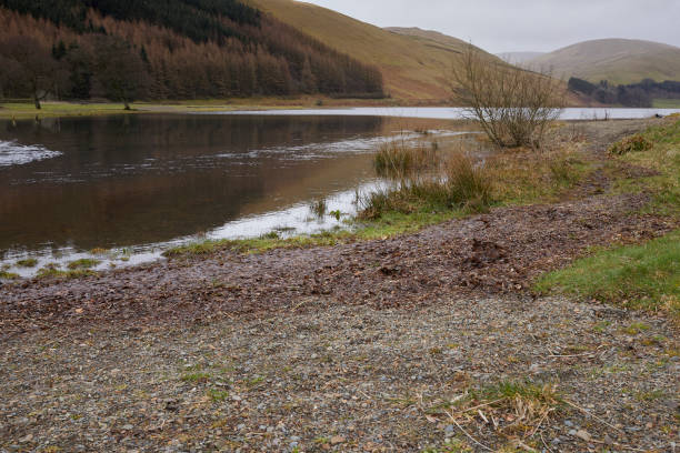 istock Loch of the Lowes 1498147703